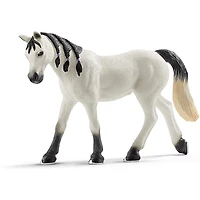 Arabian Mare
