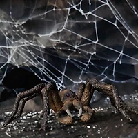 Aragog