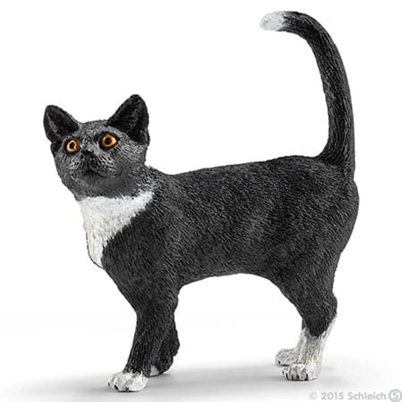 Cat, Standing