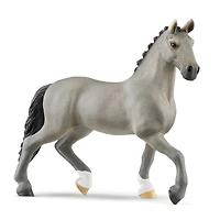 Cheval de Selle Francais Stallion