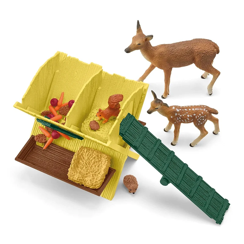 Feeding the Forest Animals