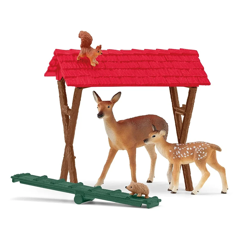 Feeding the Forest Animals