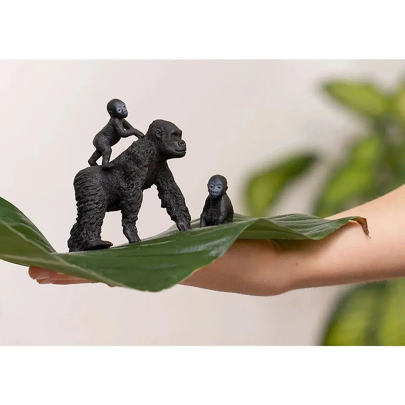 Gorilla Family