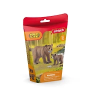 Grizzly Bear Mother with Cub