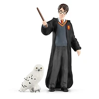 Harry and Hedwig