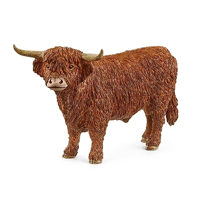Highland Bull