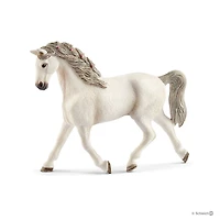 Holsteiner Mare