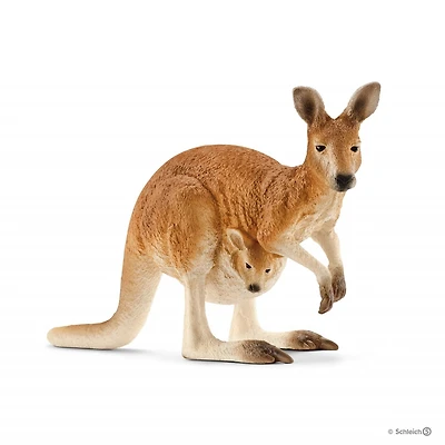 Kangaroo