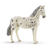 Knabstrupper Mare
