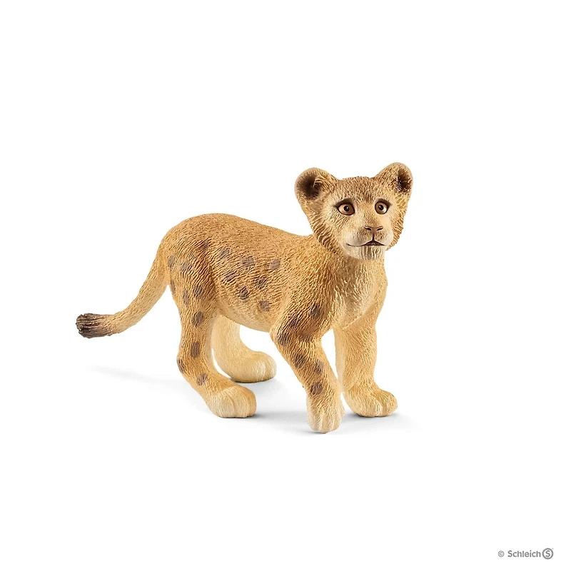 Lion Cub