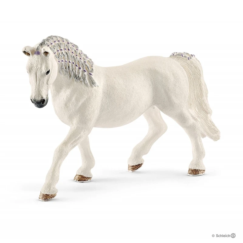 Lipizzaner Mare