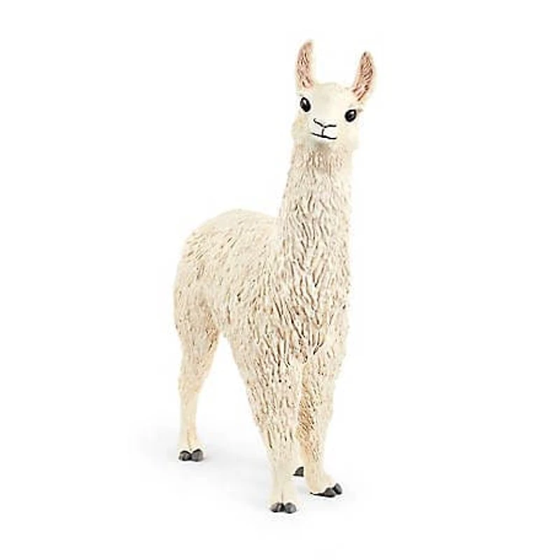 Llama