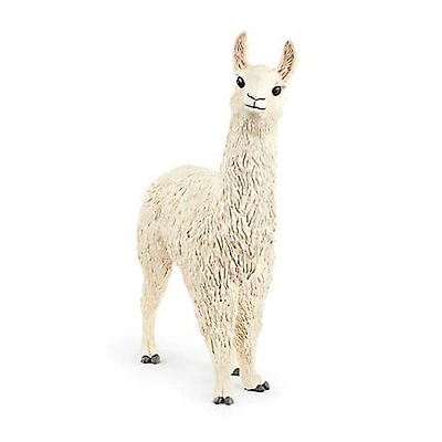 Llama