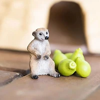 Meerkat Hangout