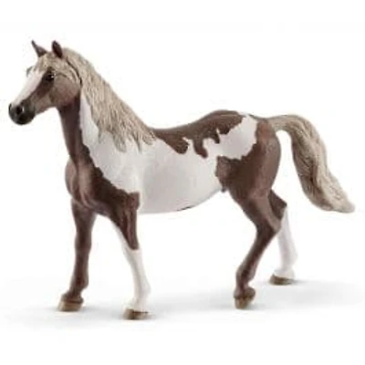 Paint Horse Gelding
