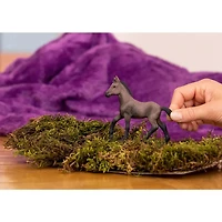 Paso Peruano Foal