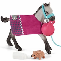 Playful Foal