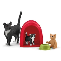Playtime for Cute Cats