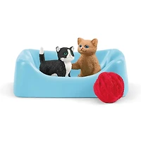 Playtime for Cute Cats