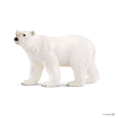 Polar Bear