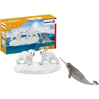 Polar Playground