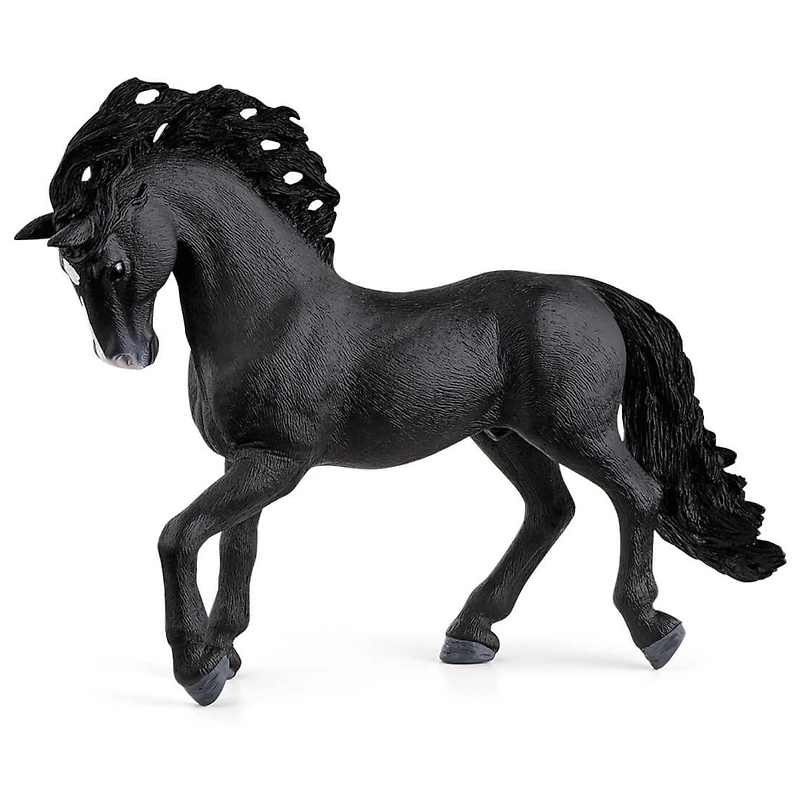 Pura Raza Espanola Stallion