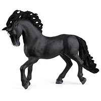 Pura Raza Espanola Stallion