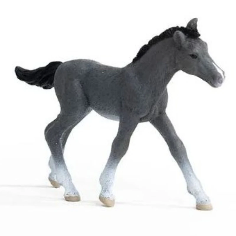 Trakehner Foal