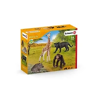 Wild Life Starter Set