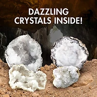 Break Your Own Geodes - Small 1" - 2"