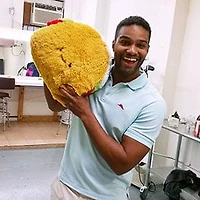 Comfort Food - 15" Taco