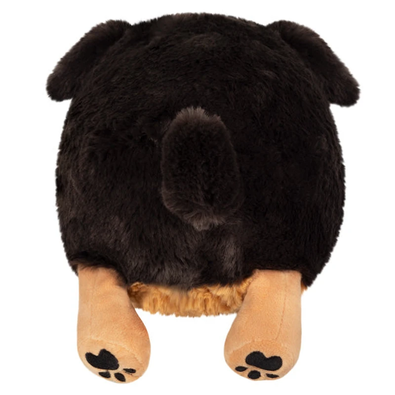 Mini Squishable Fluffy Dachshund - 13"