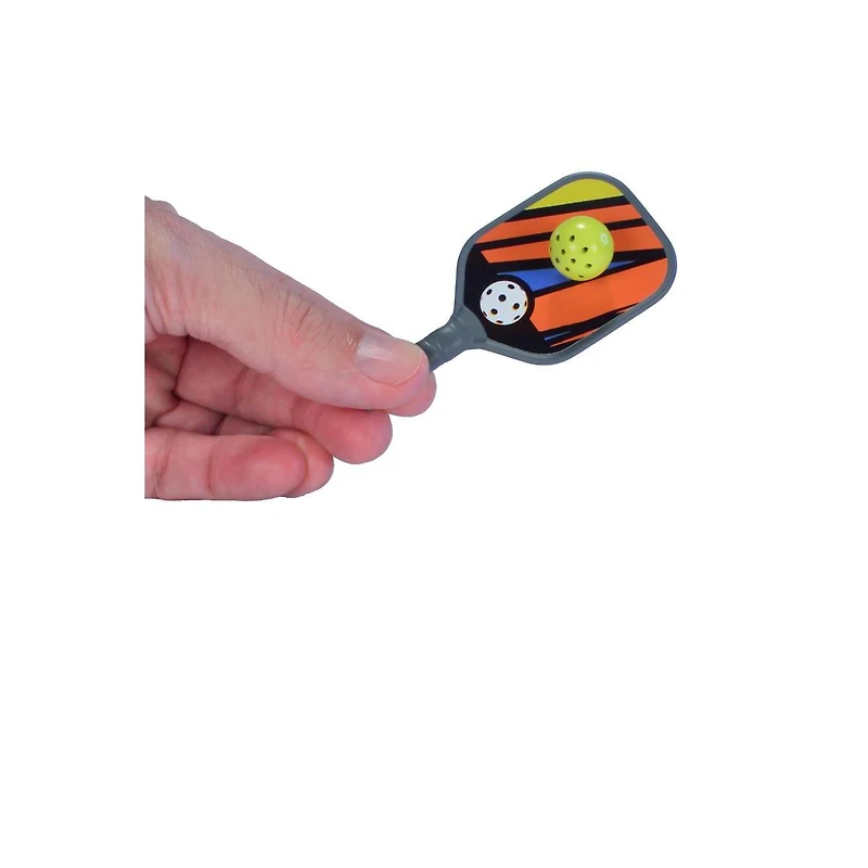 World’s Smallest Pickleball