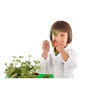 Botany - Experimental Greenhouse