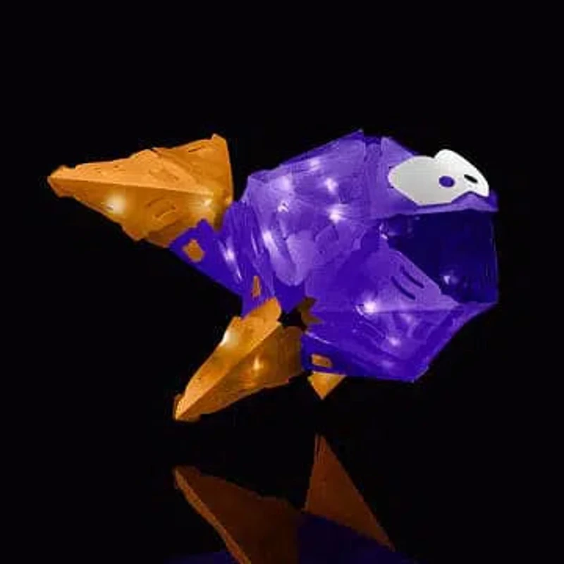 Creatto: Flashy Fish and Silly Swimmers