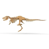 Giant Dinosaur Skeleton Kit