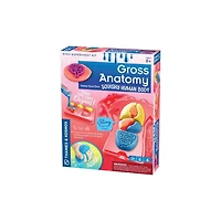 Gross Anatomy: Make-Your-Own Squishy Human Body