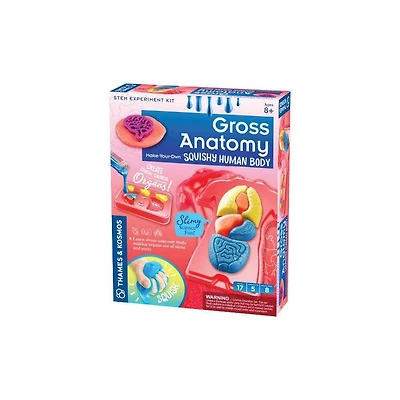 Gross Anatomy: Make-Your-Own Squishy Human Body