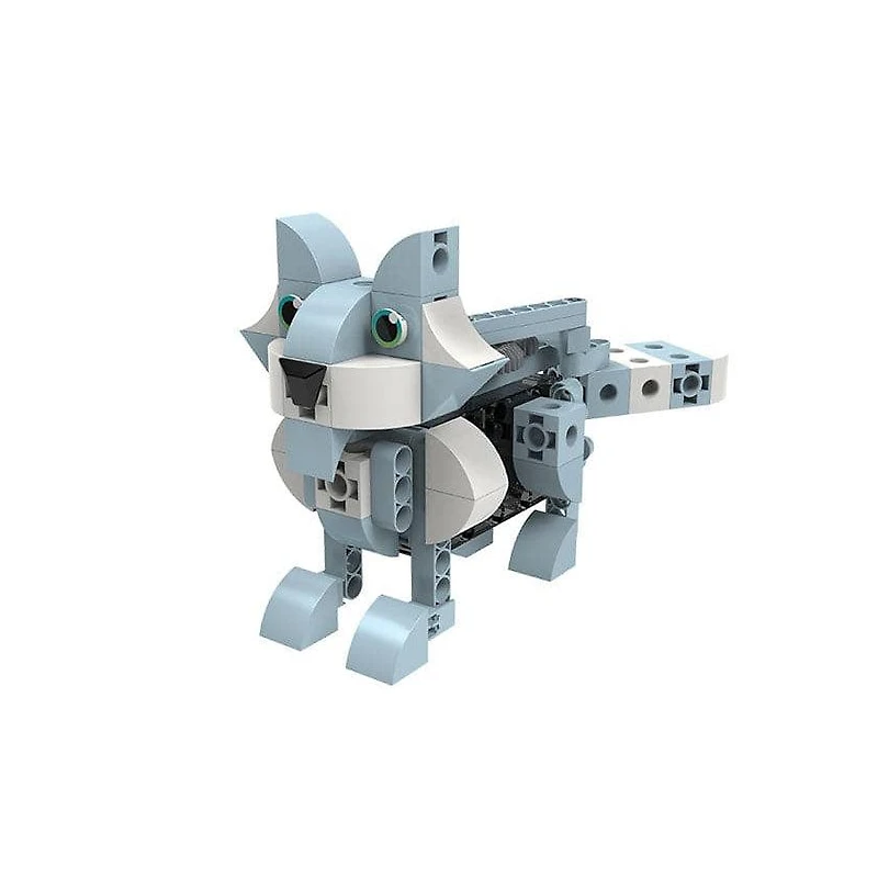 Kids First: Robot Safari - Introduction to Motorized Machines