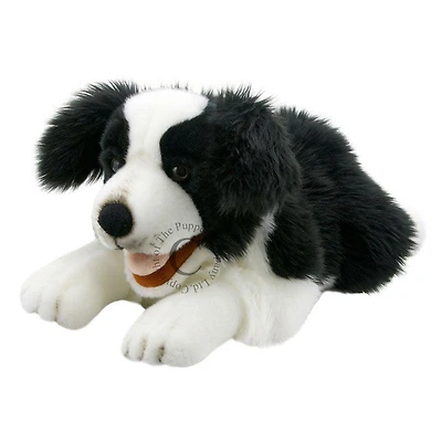 Full Bodied Puppet - Playful Puppy Border Collie
