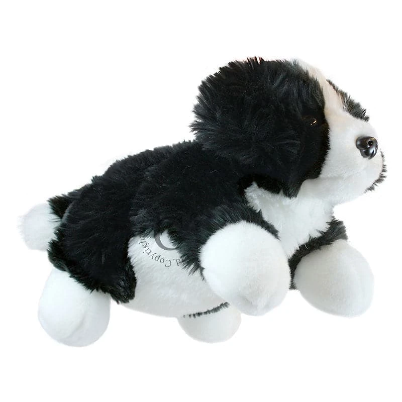 Full Bodied Puppets - Border Collie