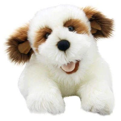Playful Puppy - Brown & White