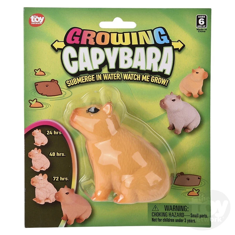3" Growing Capybara