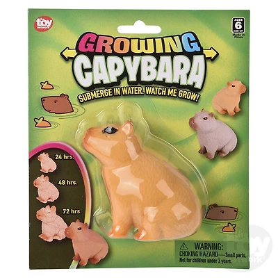 3" Growing Capybara
