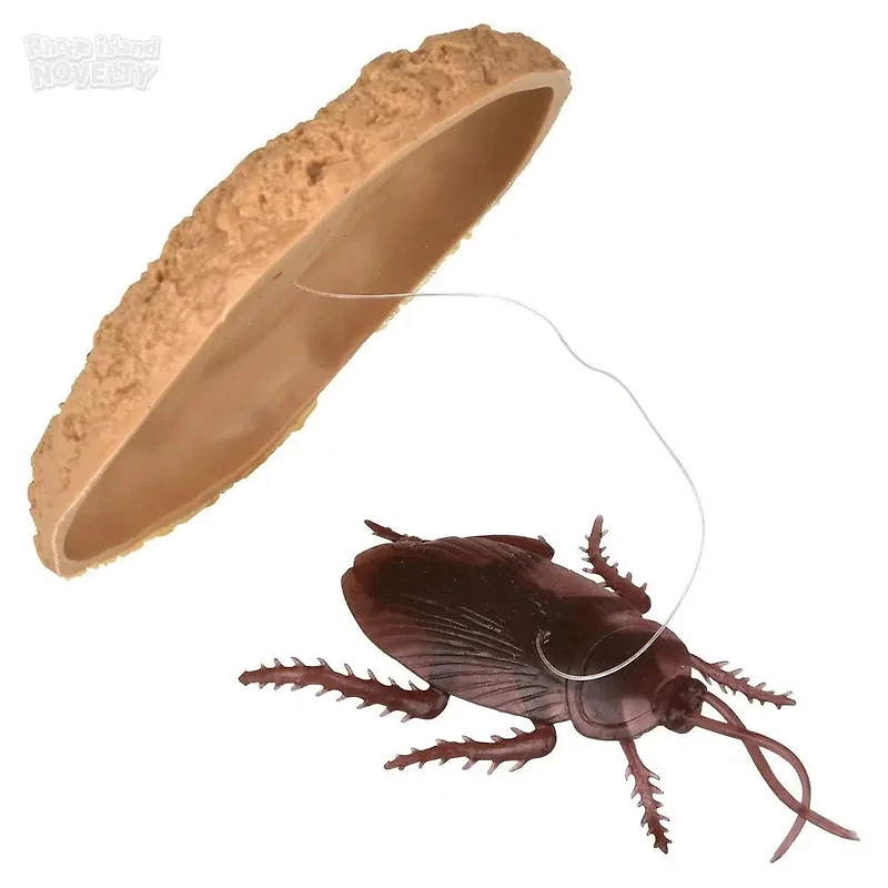 Cookie Surprise