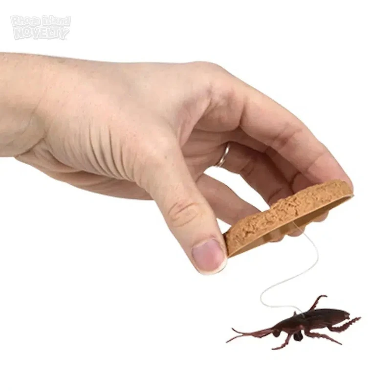 Cookie Surprise