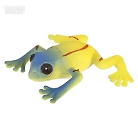 Giant Grow Frog Assorted Styles