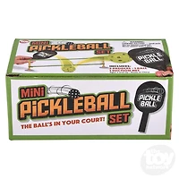 Mini Desktop Pickleball Set