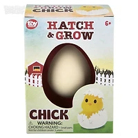 Small Hatch And Grow Chick Egg