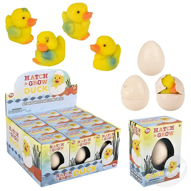Small Hatch And Grow Duck Egg
